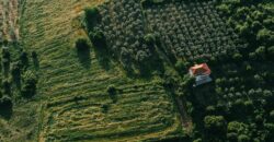 Residential Land for Sale in CMC, Yeka
